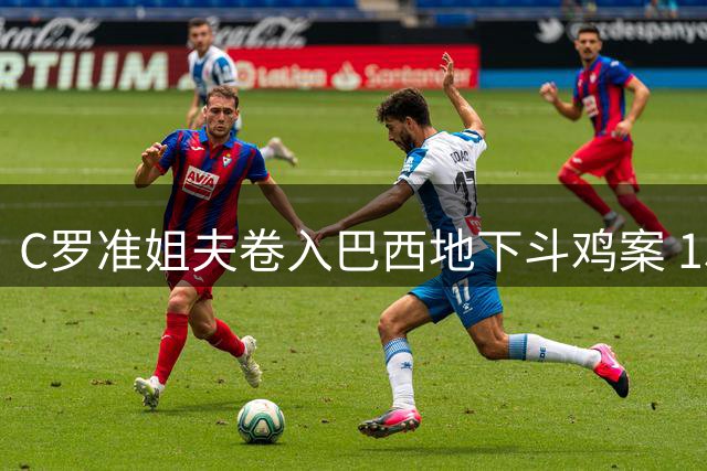 C罗准姐夫卷入巴西地下斗鸡案 1500只公鸡遭残酷对待